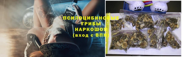 твердый Гусь-Хрустальный