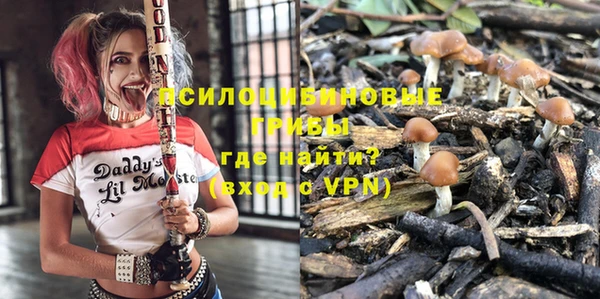 мяу мяу мука Гусев